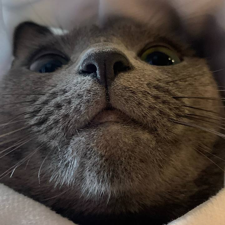 46d6ab65 f932 478e a715 7aa30683db01 1606535300993