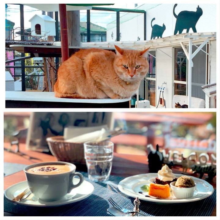 46d6b021 ed81 4120 90bc 869caa8314f6 1554071573194