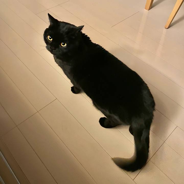 46d6dcbc f2b0 4442 92e6 57ba2d68c312 1648907434508