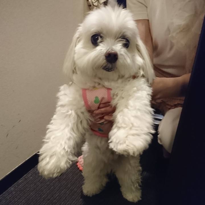 46d6fba7 5421 468b b043 7d67846e00c1 1531404008352