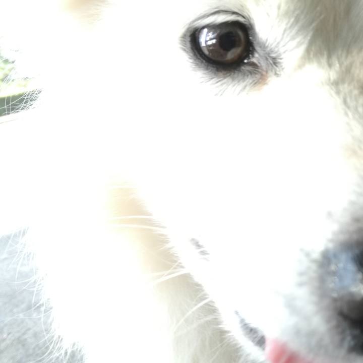 46d708ee ec64 4190 ad50 ed44e49eacd4 1508291845788