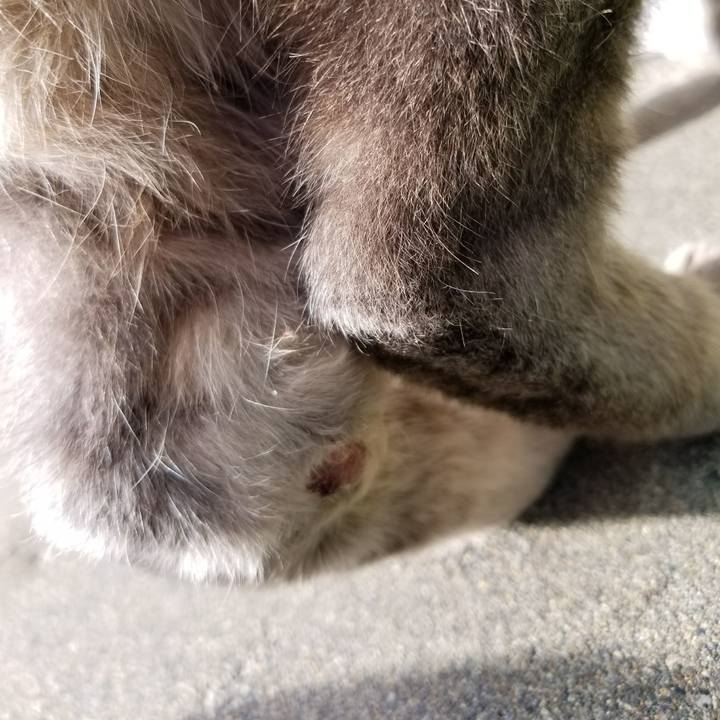 46d73d39 cd8d 4eb4 9e13 82357ce8a5eb 1511628382986