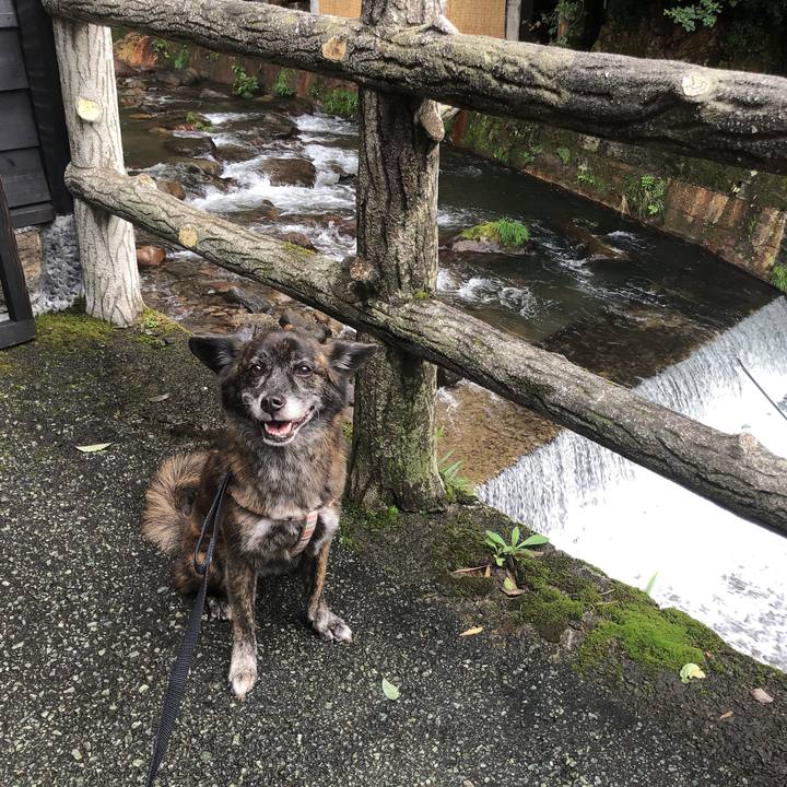 46d76007 950b 4d11 be40 0526dbdb72a1 1599142563387