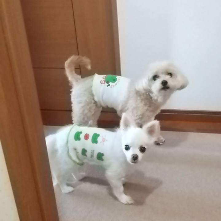 46d768f3 3ff8 4282 a437 88e71358dac5 1626732865170