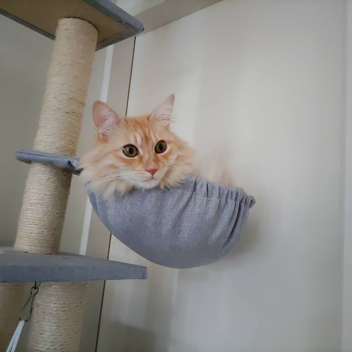 46d7a35a 53eb 440b b702 164eef2714ee 1696638493756