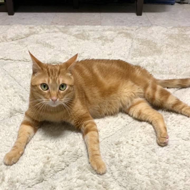 46d7a86b 7f8e 473e b8b1 5954dc0fa900 1591826670881