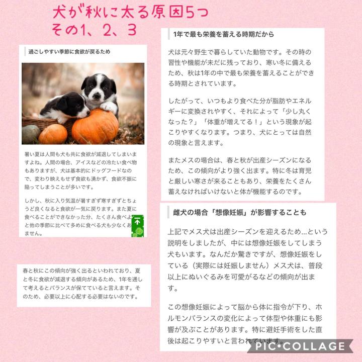 46d7ae81 7713 4ac9 89e3 d1594e1b3c20 1540463604630