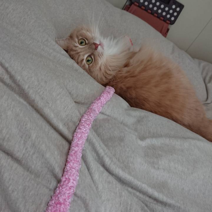 46d809a0 4f20 4674 8958 cd0af24eca52 1548465444505