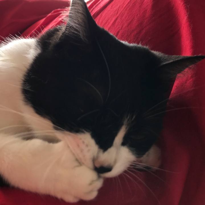 46d80dcd f540 4f3b a68d 3c1c343e1169 1557460735258