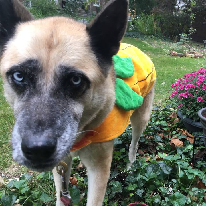 46d842d3 20eb 4fc3 9101 353d717df99d 1540675488373