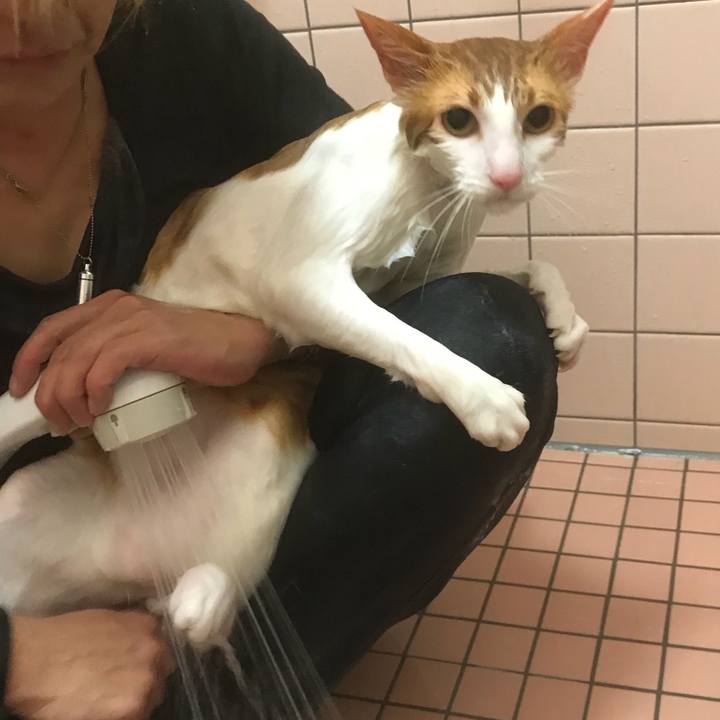 46d84493 9569 467f 8eda 1365092a904c 1509713790735