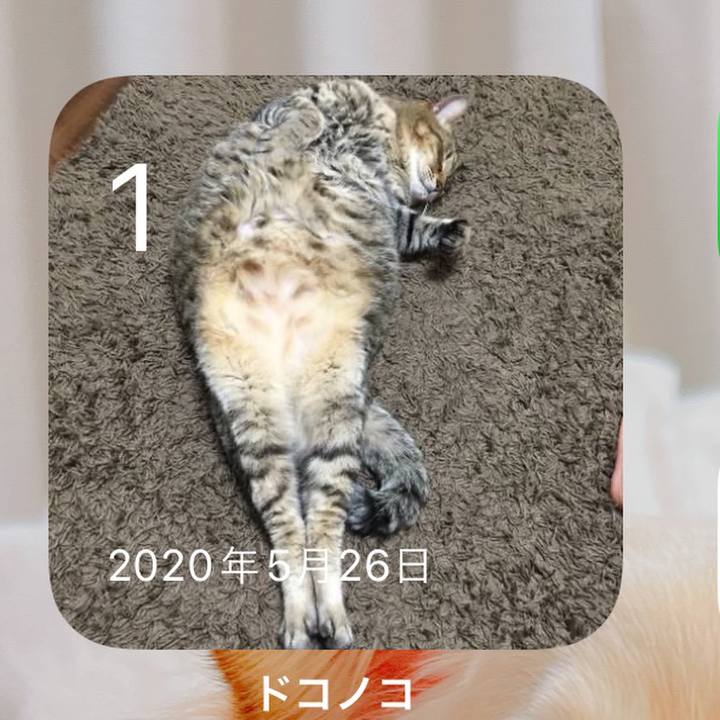 46d848b2 656c 41ae b4be 0041b05c0d53 1654045977904