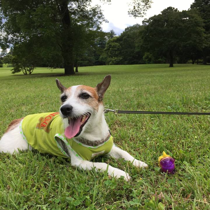 46d8554e b90c 4342 818a 74e486cff2ff 1624231824854