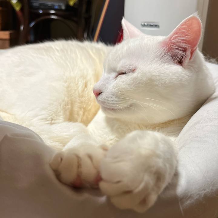 46d88bfd bc38 4ebc a0fa 35009d84c327 1681642726877