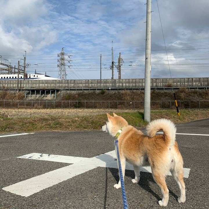 46d89783 0872 4e35 812c b102e191cf93 1768487837791