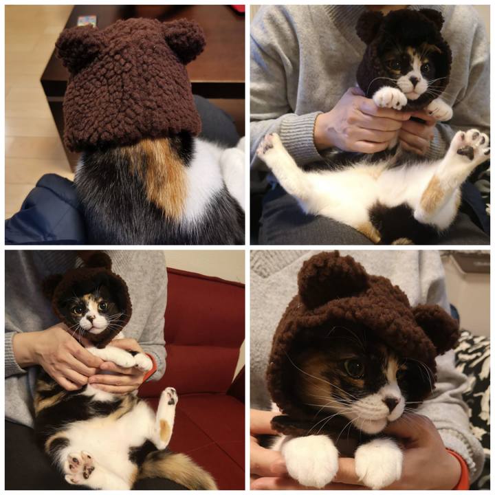 46d8a1e1 1cac 4b01 b582 1b0601bc40d6 1611986325134