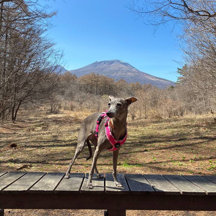 46d8a9d1 4824 4e2b b48b d4caeb3dd1c4 1776933302830