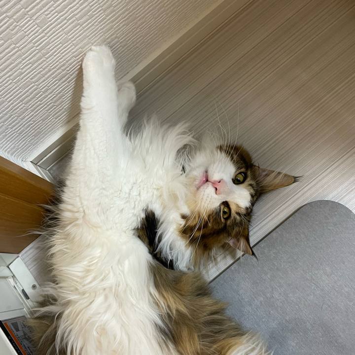 46d8ee5e 29e0 46ff aba7 84d6196d7fca 1647379985294