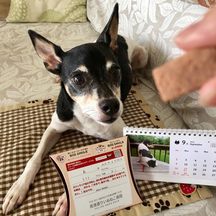 46d932d9 820b 4fdc 8987 bc834359d3c4 1535770249157