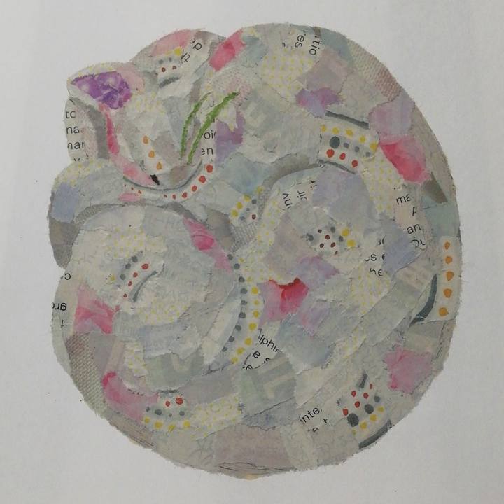 46d9485c aeb4 427d a9c1 a45c4e2963fa 1703197183460