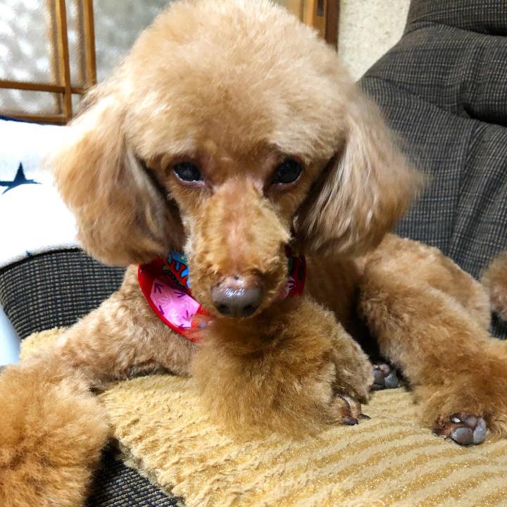 46d9488d 83ec 4da0 80f1 d1e526d81375 1615633193028