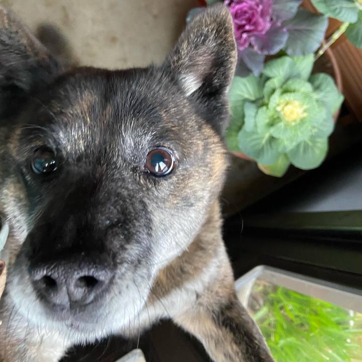 46d94b31 7900 4b6b bea5 7e1a75446bb4 1611275644392