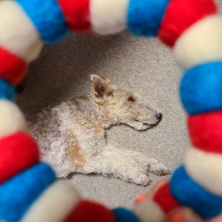 46d9522e f11c 4407 9448 d0536b9f2237 1662682484527