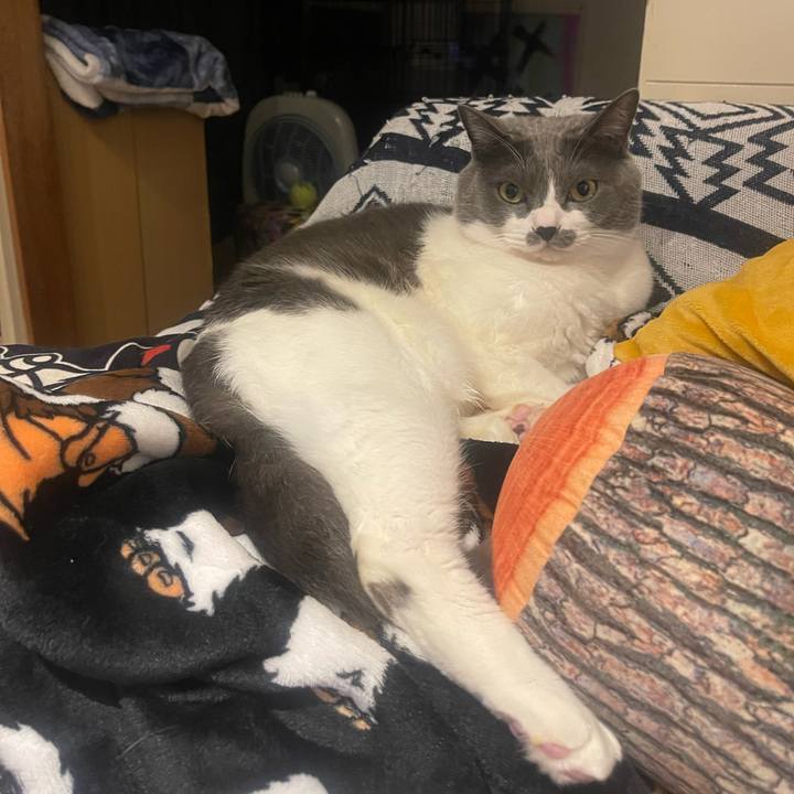 46d99371 8be7 4855 98bd 478ca69f1242 1703516328072