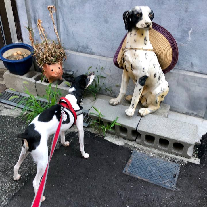 46d9c817 fafc 4ba2 a17a f4508369098c 1568674803960