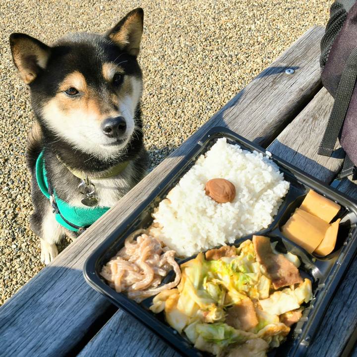 46da3119 a08a 4169 afe5 bdf648d83d1e 1765112068163