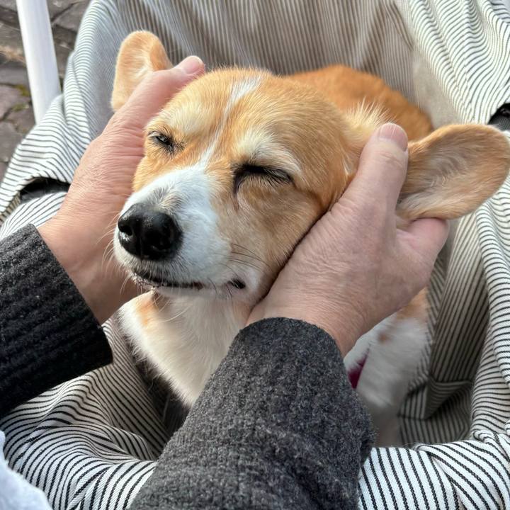 46da41e8 ae3a 4d77 8d41 8e033c6d861a 1737431795049