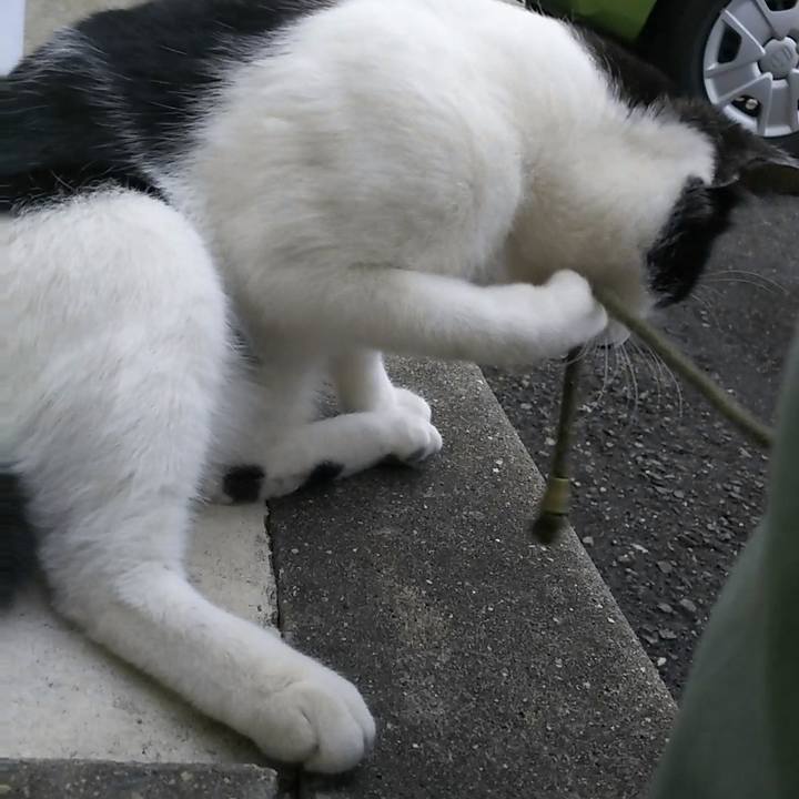 46da4b09 4d8c 4bb1 bffb f9f7d026eb7e 1543738331576