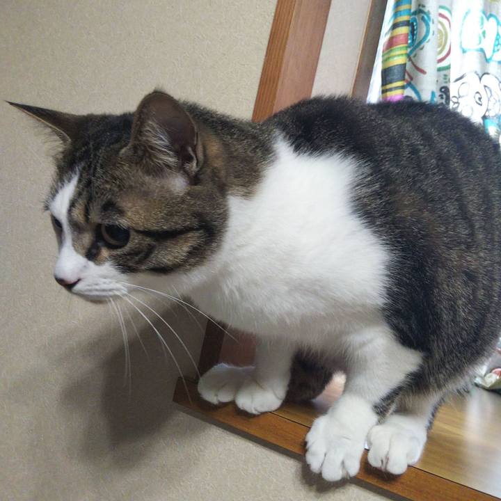 46da865c 4afc 42c7 943f 0863a2a68a2f 1653088809828