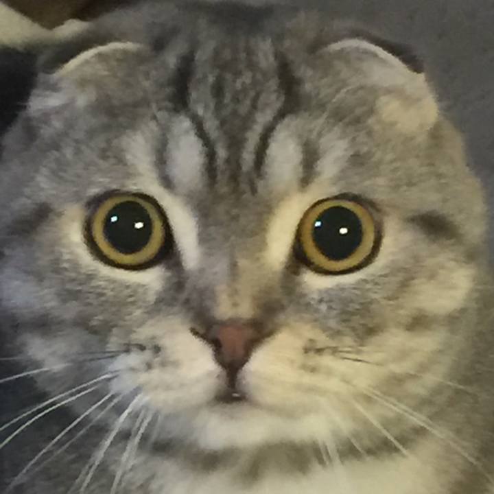 46dabd64 22db 40af 89a6 4cd7b166eafc 1608329938763