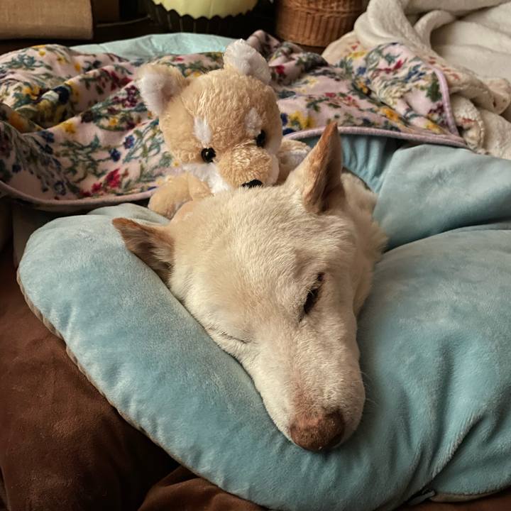 46dad35c 72c6 478f 8580 44e756362e8a 1679357325175