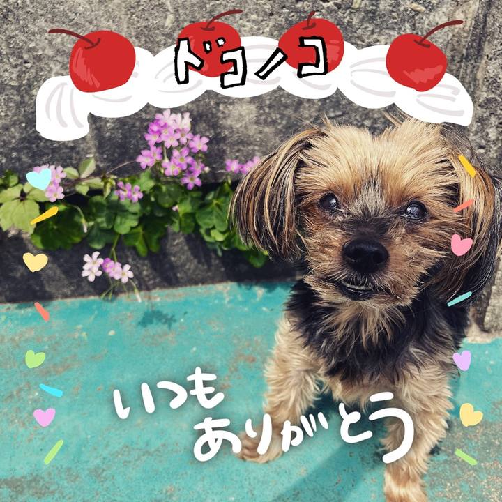 46dadac9 71d0 4b9d b88e d60193b19f8c 1685956248851