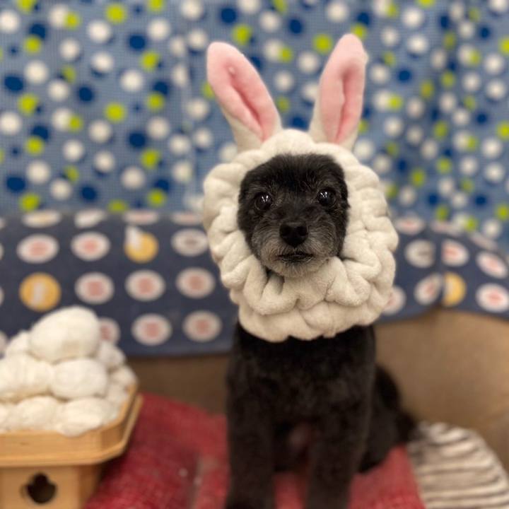 46daea01 6283 4a80 bd83 643e5418a634 1630840122885