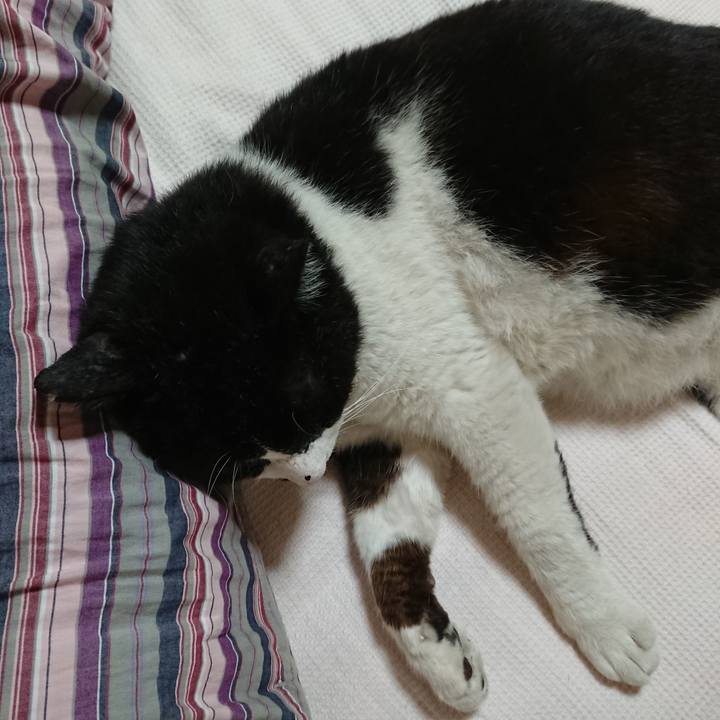 46daf76a 317b 4f98 9bc9 7a7d14cbeefa 1561347253100