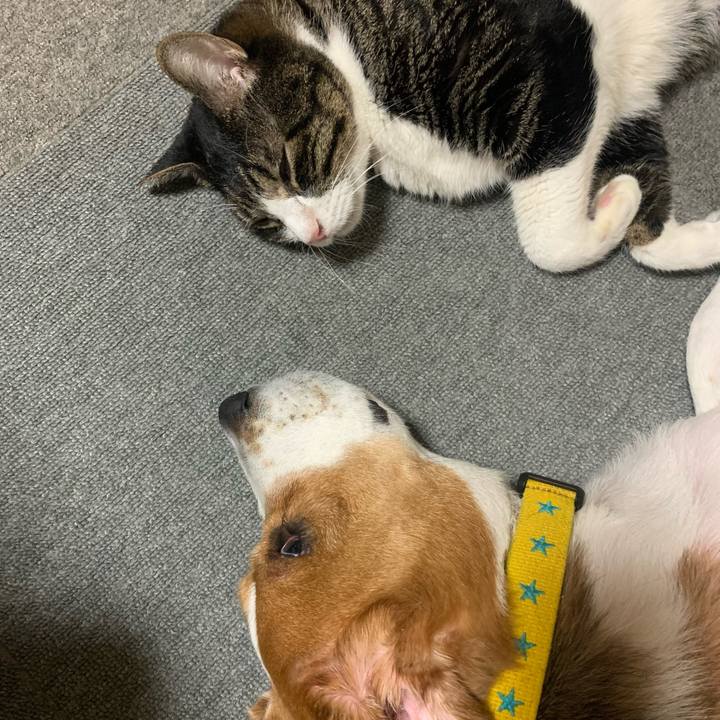 46db098a 1653 458a a0c3 8d3940abc59c 1662281675812