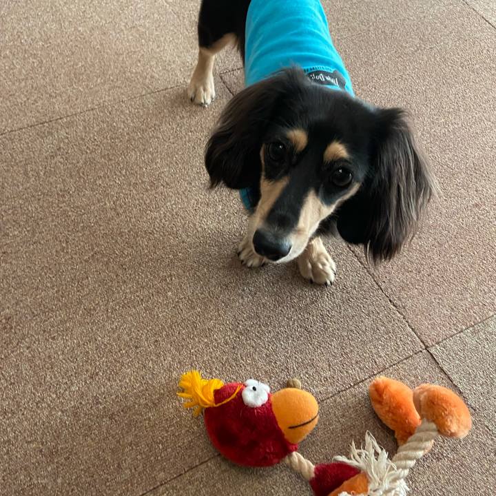 46db0ac3 6b88 4556 969d 1a5f4f035b54 1698814828344