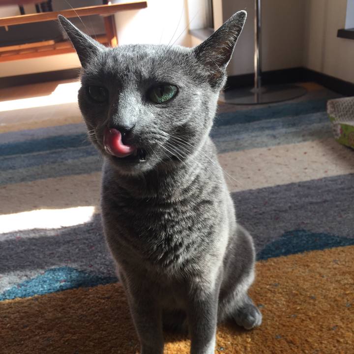 46db1670 1649 496f 8779 cc22ac62861d 1543274446935