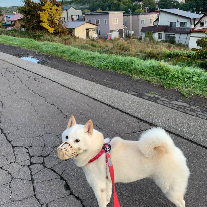 46db2bb1 3ccc 48a7 a2f7 041aecd92c78 1570399915231