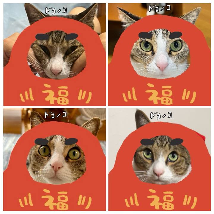 46db5a8a f387 4391 82b2 8c499dc1aa3b 1772185844501