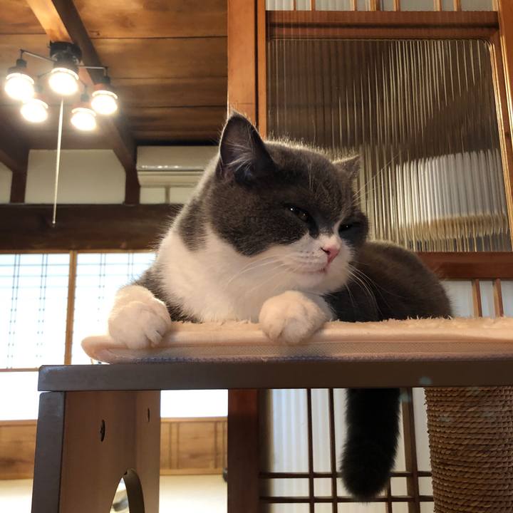 46db8f90 f4ac 4d1b 9bc8 66974f00ba74 1554679682308