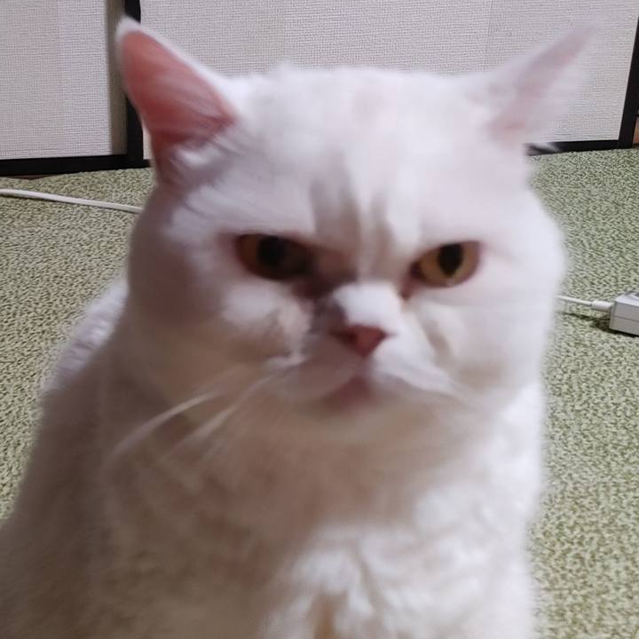 46dc5fa0 1d85 459a 98ad b52fb41eae79 1728487501668