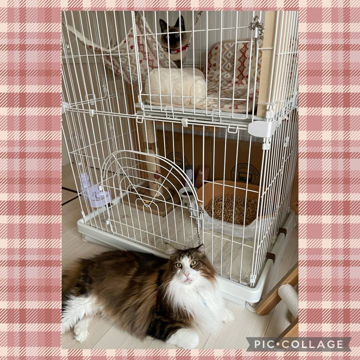 46dcb434 a42d 4a6b 8508 a24a8f4123d5 1708585133276