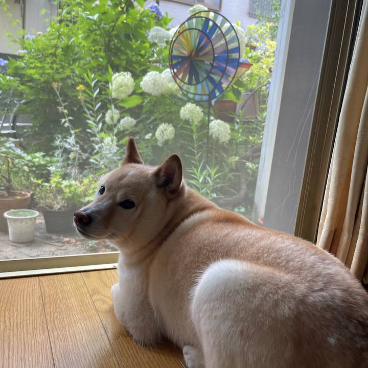 46dcbc77 feda 4026 a998 377f4e540cf1 1687304176857