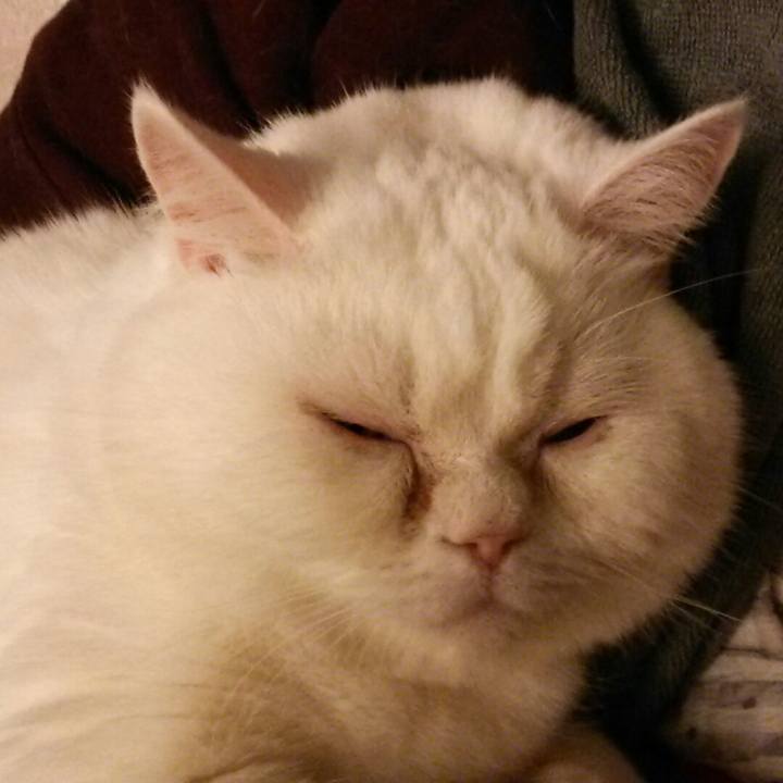 46dcdaa0 8a3d 4398 bbad bd9f2e303508 1558583737577