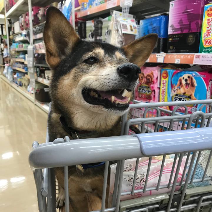 46dce1e4 b82a 4391 a71b 1086861b9067 1513046876850