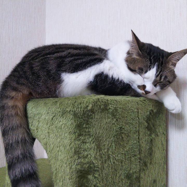 46dcff28 7c64 4cf8 a676 dd4698905adc 1653131703746